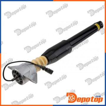 Amortisseur de suspension arrière pour PORSCHE | A-PS-001, 20-246167